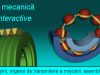 Soft educational interactiv organe masini